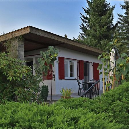 Cozy Holiday Home In G Ntersberge With Garden Güntersberge Kültér fotó