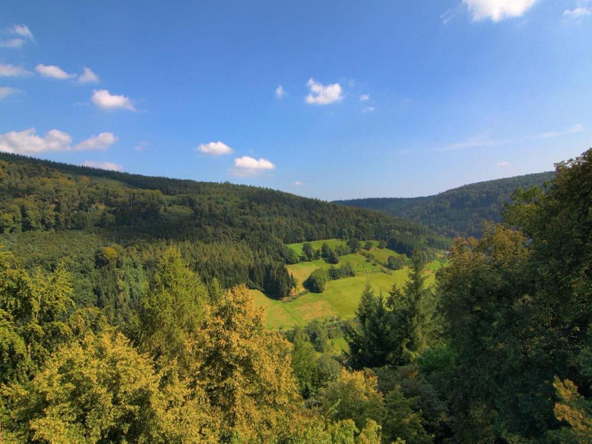 Cozy Holiday Home In G Ntersberge With Garden Güntersberge Kültér fotó